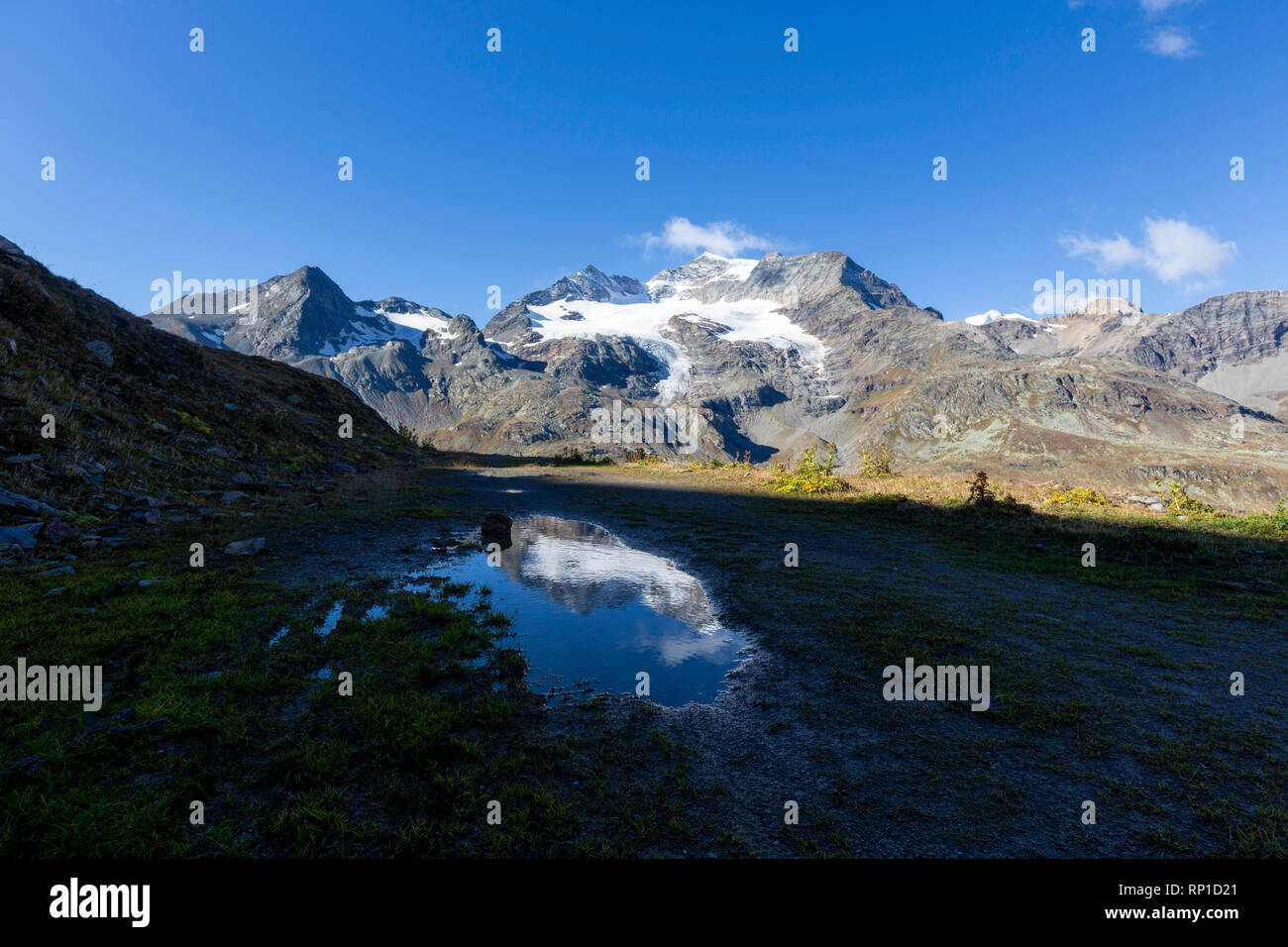 Piz Cambrena in der alpinen See spiegeln, Val Dal Bugliet, Berninapass, Kanton Graubünden, Engadin, Schweiz Stockfoto