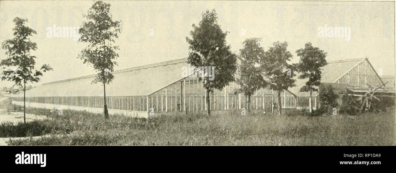 Die Amerikanische Florist Eine Wochentliche Zeitschrift Fur Den