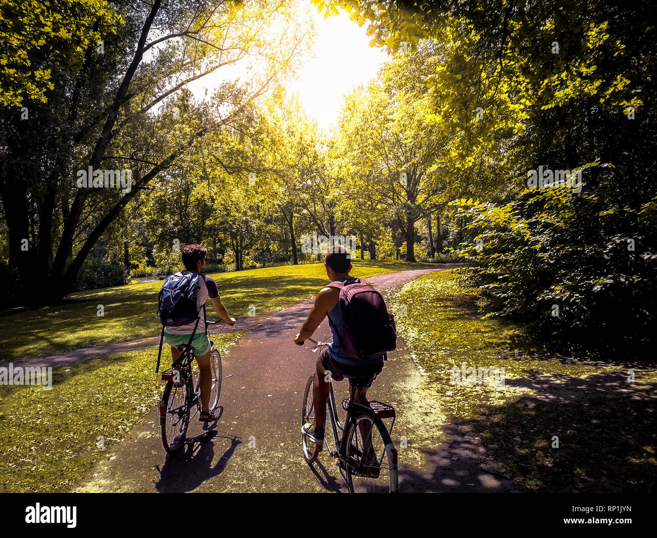 Junge Schüler fahren mit dem Fahrrad auf der Freizeitpark Rheinaue, Bonn, Deutschland. Pendeln zur Arbeit. Das Pendeln mit dem Fahrrad durch den Park bei Sonnenuntergang. Zwei Männer Reiten Fahrräder. Stockfoto