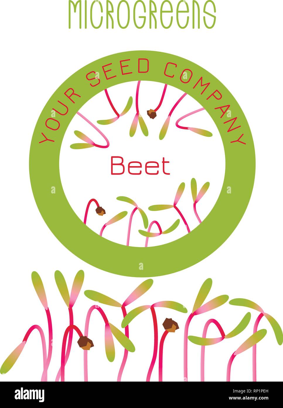 Microgreens Zuckerrüben. Saatgut Verpackungsdesign, rundes Element in der Mitte. Keime von Samen einer Pflanze. Vitamin Supplement, veganes Essen Stock Vektor