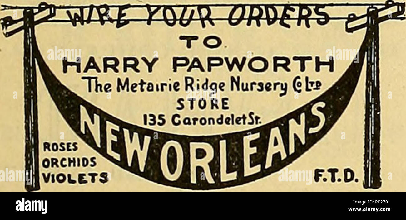 . Die amerikanische Florist: Eine wöchentliche Zeitschrift für den Handel. Blumenkultur ; Floristen. Achte asd LoCQSt Sts. 3514-16-20 N. Drüse Av. Die amerikanische Florist wenn writinp erwähnen. Die amerikanische Florist beim Schreiben von Albany, N.Y., Blumen oder Design geliefert und arbeiten in Alhany vidnily auf Telegrafischen Bestellung erwähnen. 106 STATE STREET erwähnen die Amerikanische Florist wUen schreiben Milwaukee, Wis J. M. Fuchs & Amp; Sohn, Inc. 437-39-41 MUwankee St Mitglieder Floristen "Telegraph Lieferung Association. THOS. F. GALVIN INC. NEW YORK Fifth Avenue DnCTHW 1 Park Street DUO 1 Uil 799 Boylston Street Lieferungen an die Dampfer und Al Stockfoto