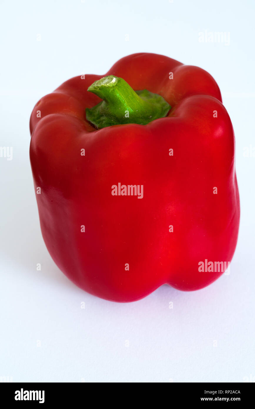Nahaufnahme eines rote Glocke oder Paprika auf eine weiße Fläche Stockfoto