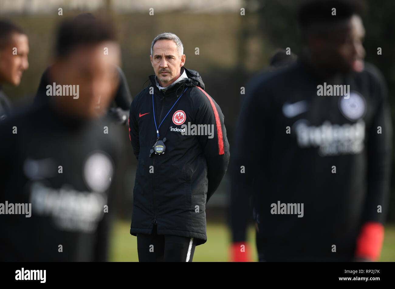 20. Februar 2019, Hessen, Frankfurt/Main: Adi Hütter (M), Trainer von Eintracht Frankfurt, beobachtet seine Spieler während der letzten Ausbildung in der Commerzbank Arena. Am 21.02.2019, Bundesliga Club spielen das zweite Bein der Europa League Qualifikation gegen Schachtjor Donezk. Foto: Arne Dedert/dpa Stockfoto