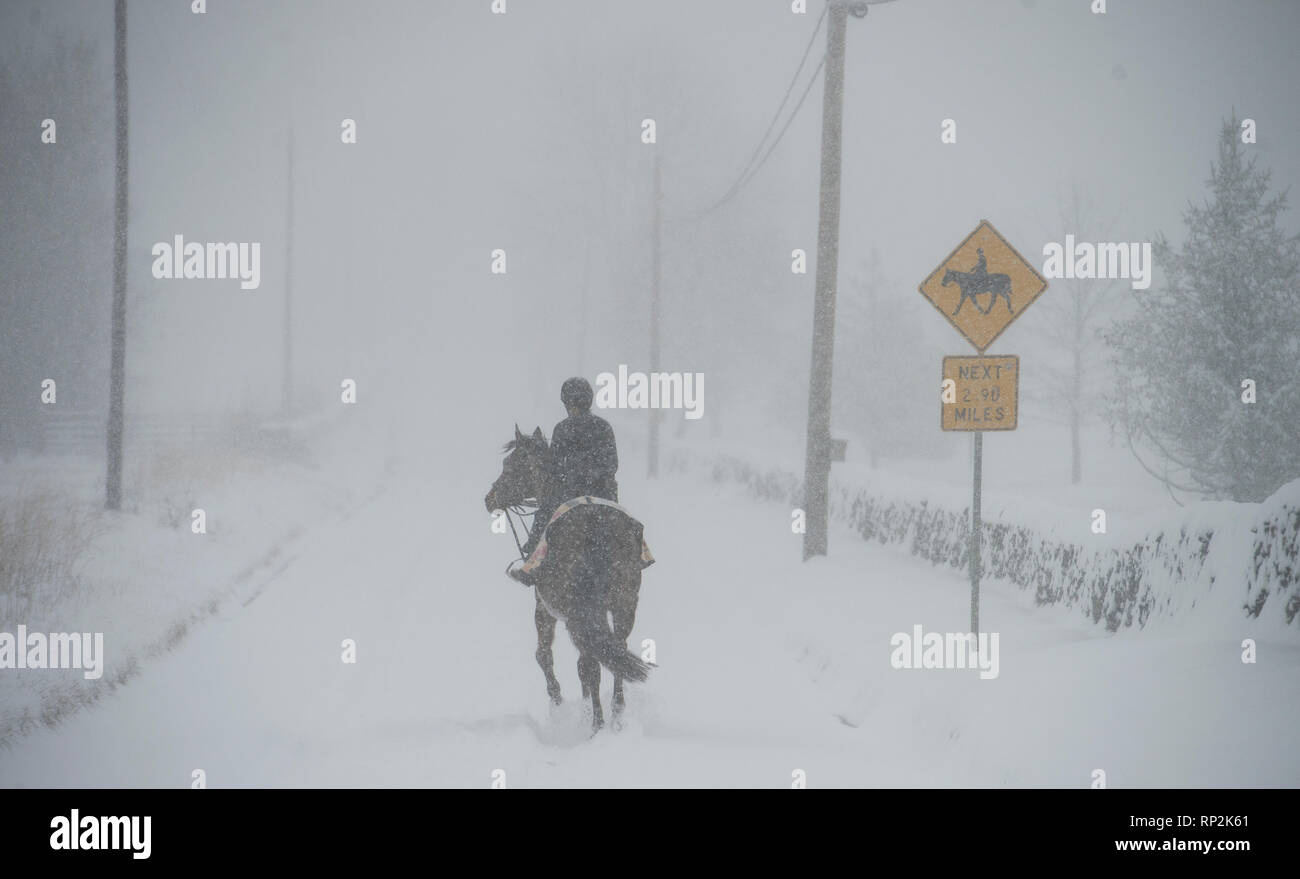 Virginia, USA. 20 Feb, 2019. Während eines Schneesturms ein Reitzentrum ihren Weg macht, Foggy Bottom Road in der Nähe von Bloomfield, Virginia. (Foto von Douglas Graham/WLP) Credit: William Graham/Alamy leben Nachrichten Stockfoto