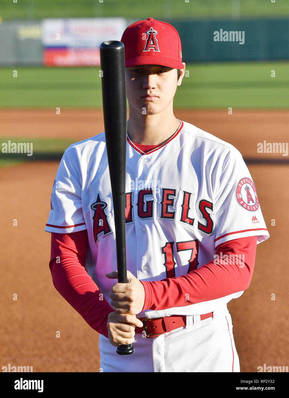 Shohei Ohtani der Los Angeles Angels stellt bei Foto Tag des Teams bei Tempe Diablo Stadion in Tempe, Arizona, United States, 19. Februar 2019. Quelle: LBA/Alamy leben Nachrichten Stockfoto