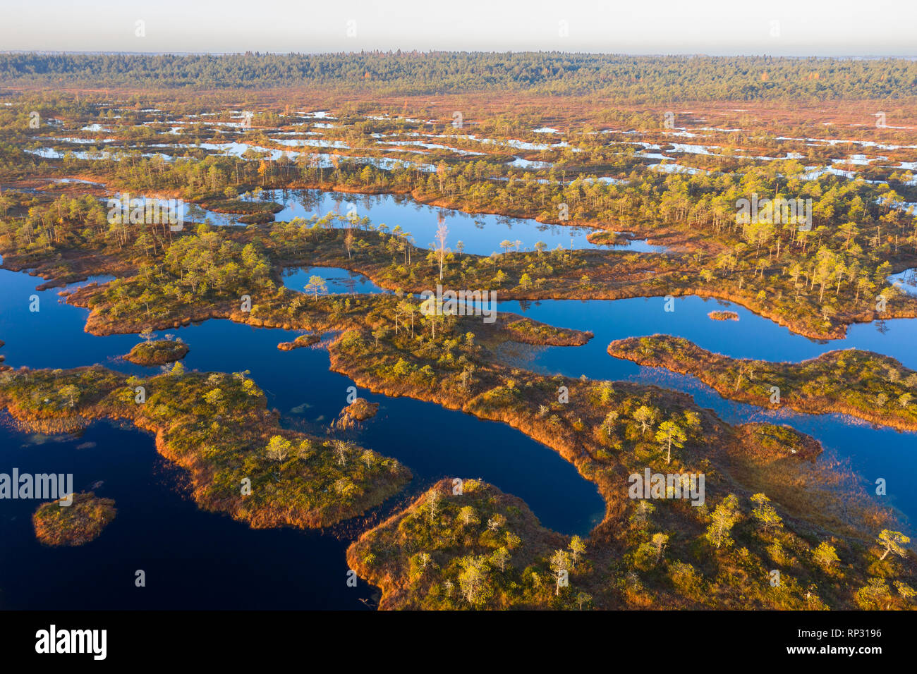 Luftaufnahme von Mannikjarve bog Pools und Inselchen in Endla Naturschutzgebiet, Jogevamaa County, Estland Stockfoto