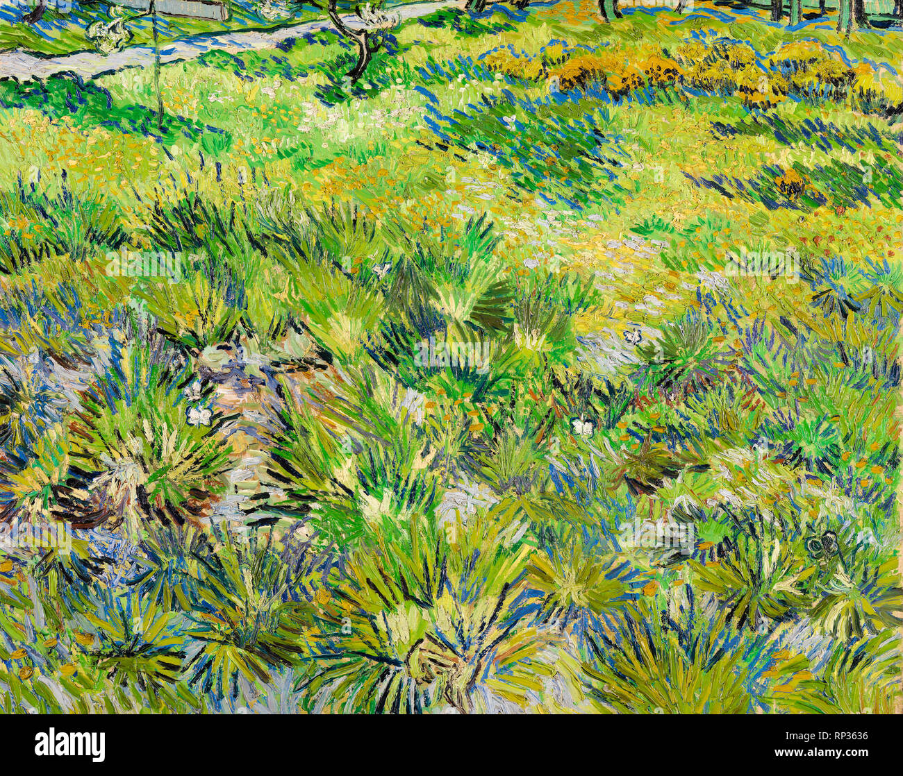 Langes Gras mit Schmetterlingen, Wiese im Garten des Krankenhauses von Saint-Paul, Vincent Van Gogh, 1890, Malerei Stockfoto