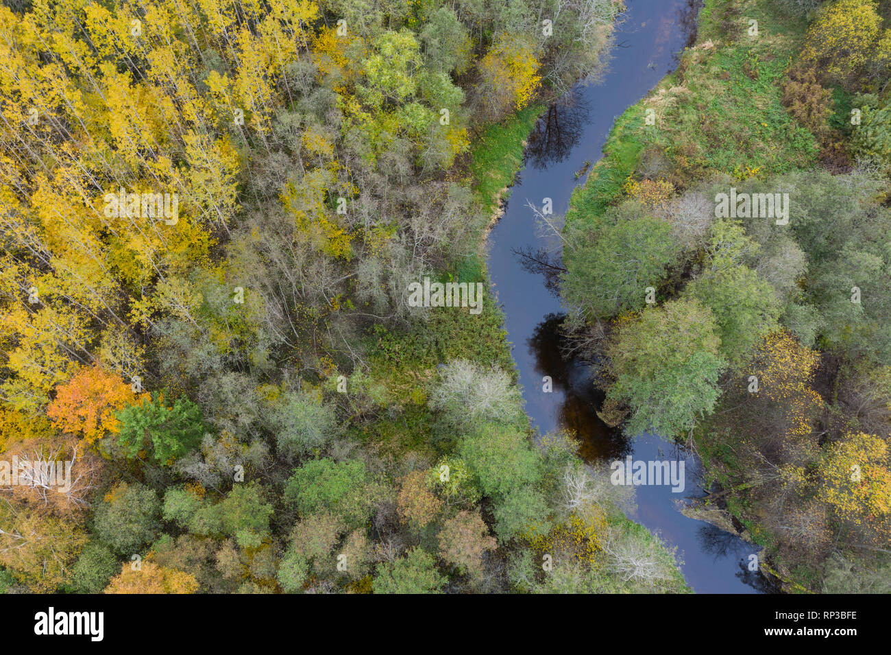 Luftaufnahme der Amme Fluss im Herbst, Europa, Estland Stockfoto