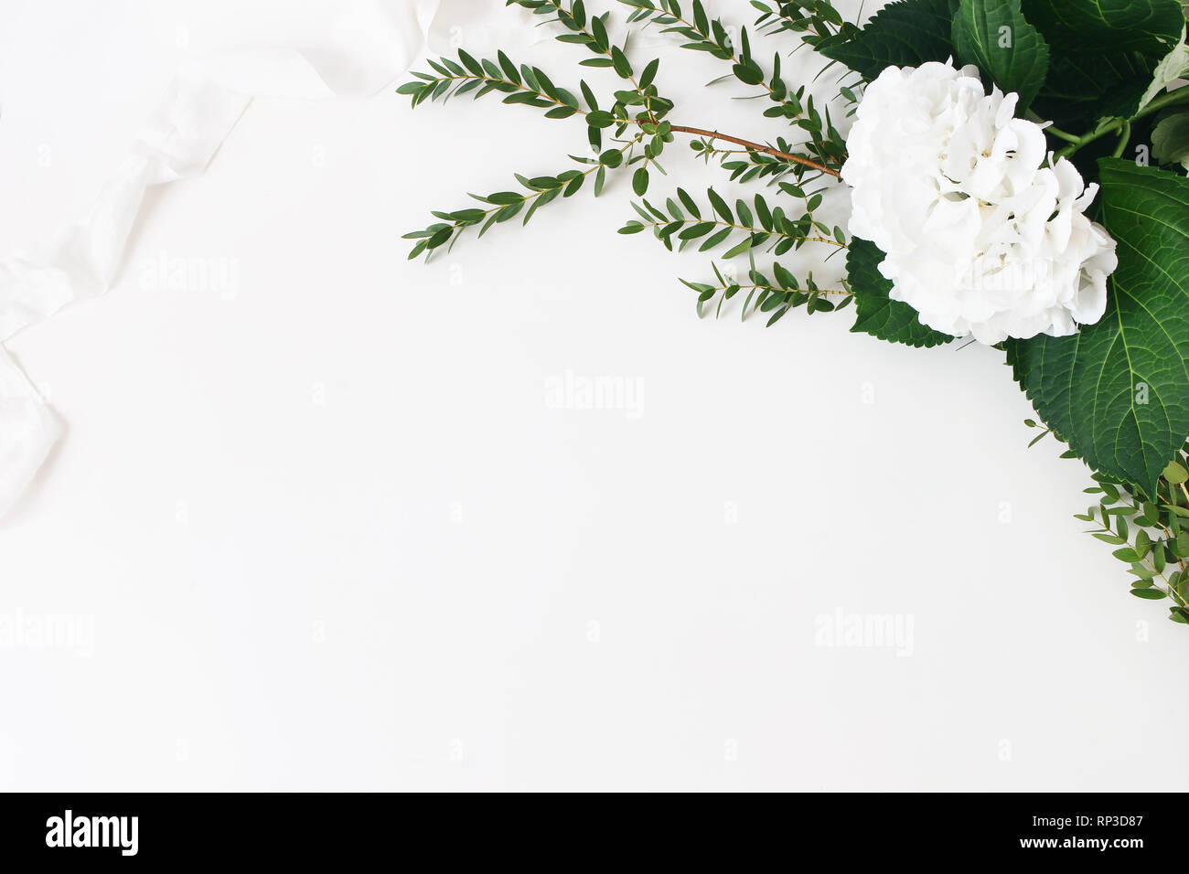 Festliche Hochzeit, Geburtstag Komposition mit Eukalyptus parvifolia Zweige, Hortensie Blumen und Seidenband. Weißem Hintergrund. Rustikal Eingerichteten Stockfoto