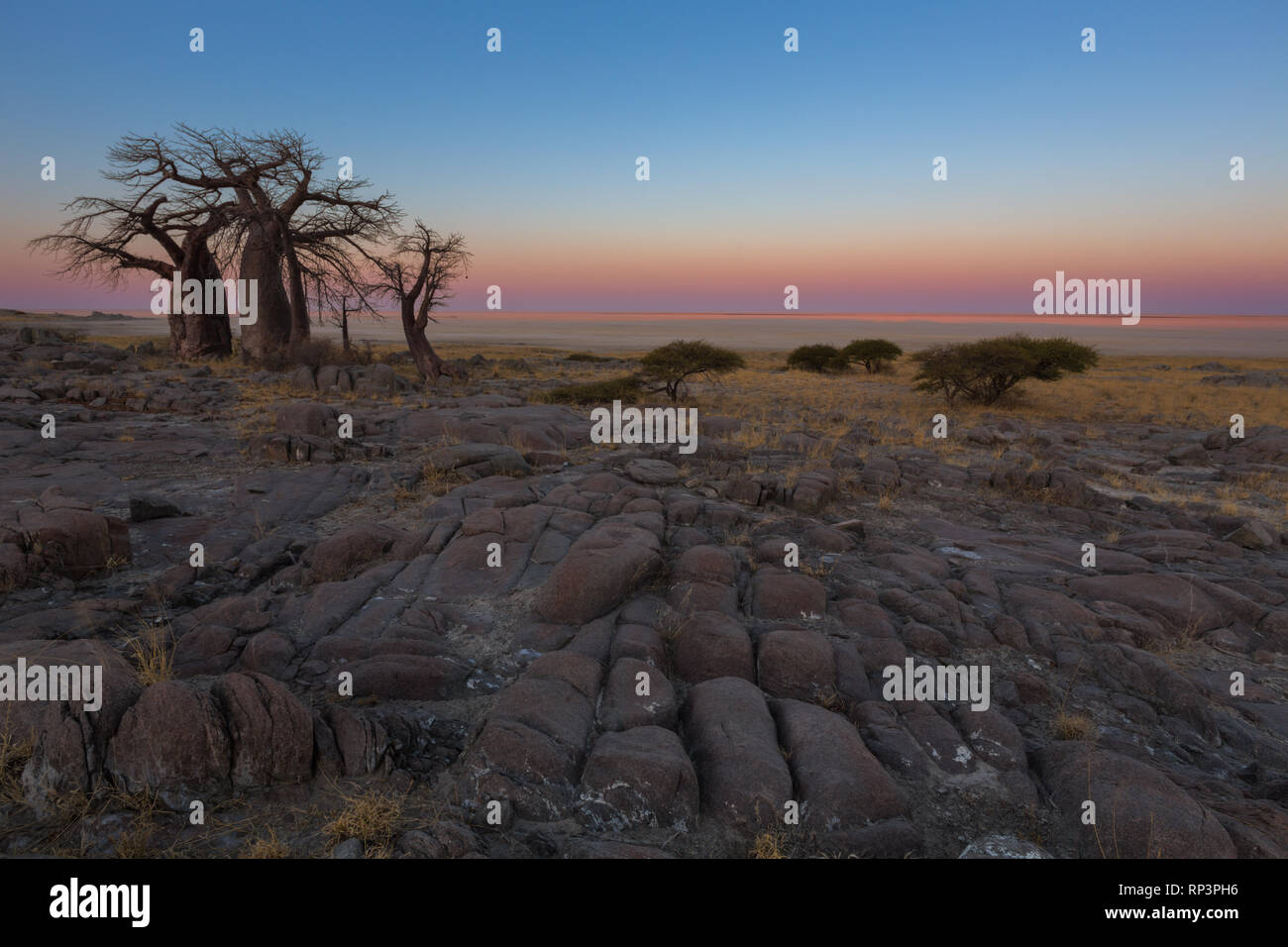 Farben des frühen Morgens Licht Stockfoto