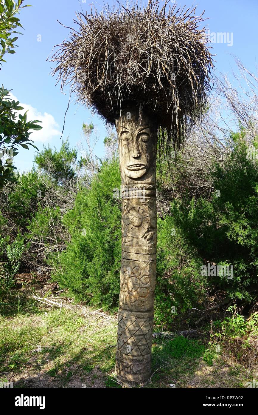 Sabal Palm entlang der Joe Kenner Naturlehrpfad geschnitzt, Glücksspiel Rogers Memorial State Recreation Area, Flagler Beach, Florida Stockfoto