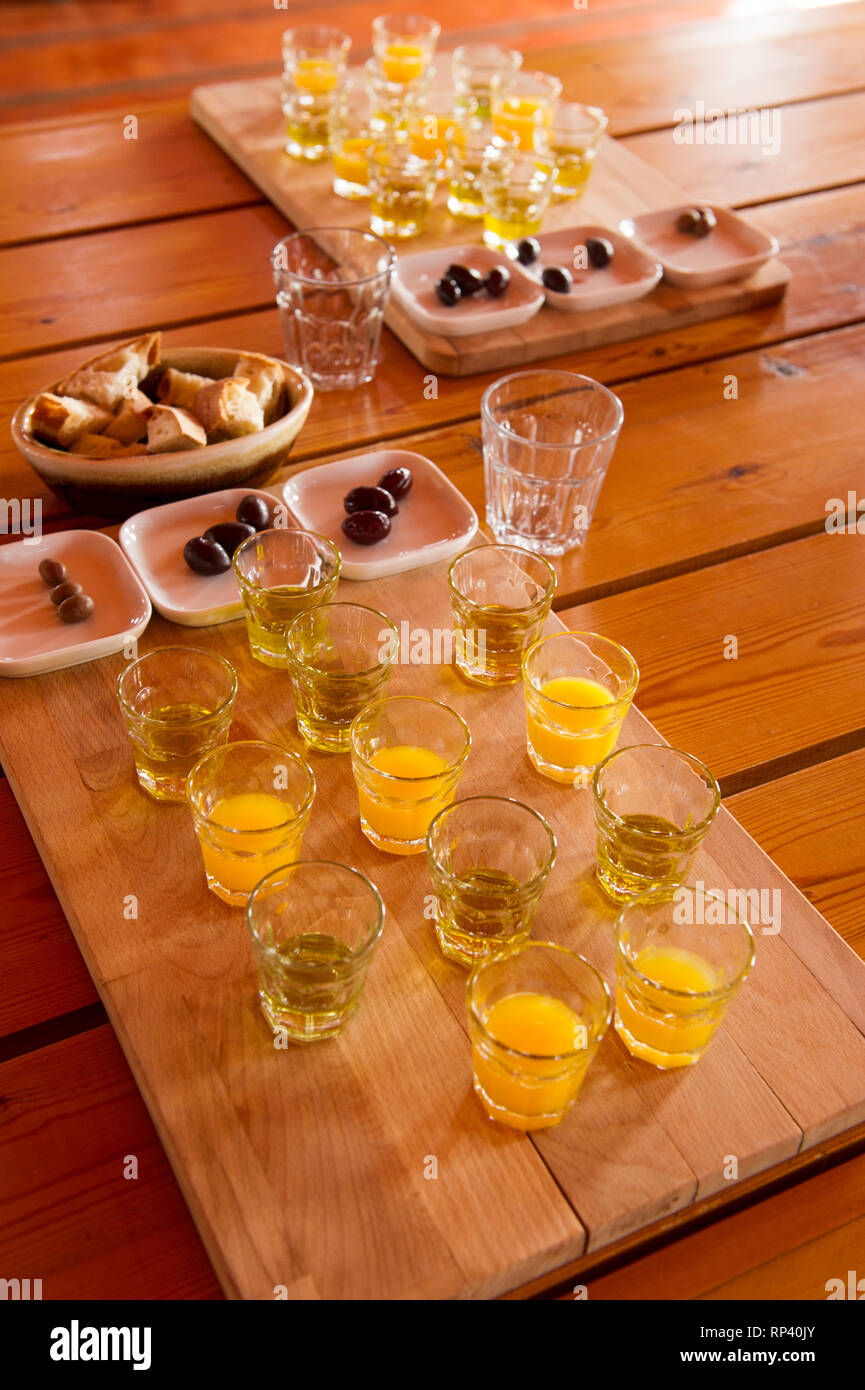 Olivenöl Verkostung in einer organischen Olive Farm, der Peloponnes, Griechenland Stockfoto
