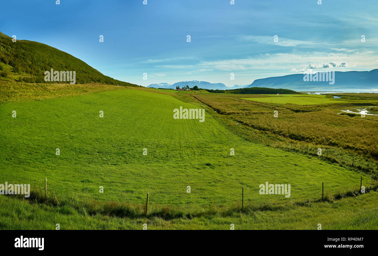 Ackerland von Laufas, Island Stockfoto