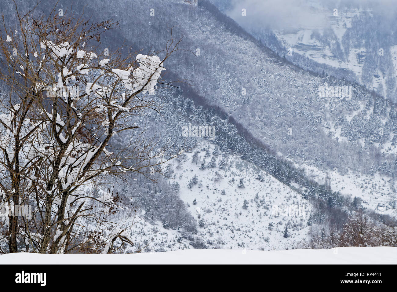 Der Grands Goulets Schluchten in Vercors, Französische Alpen Stockfoto