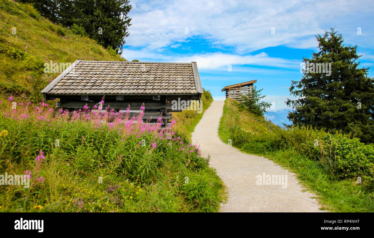 Berg Weg entlang rosa Blume Bereich mit hölzernen Alphütte in Bayern, Reisen Stockfoto