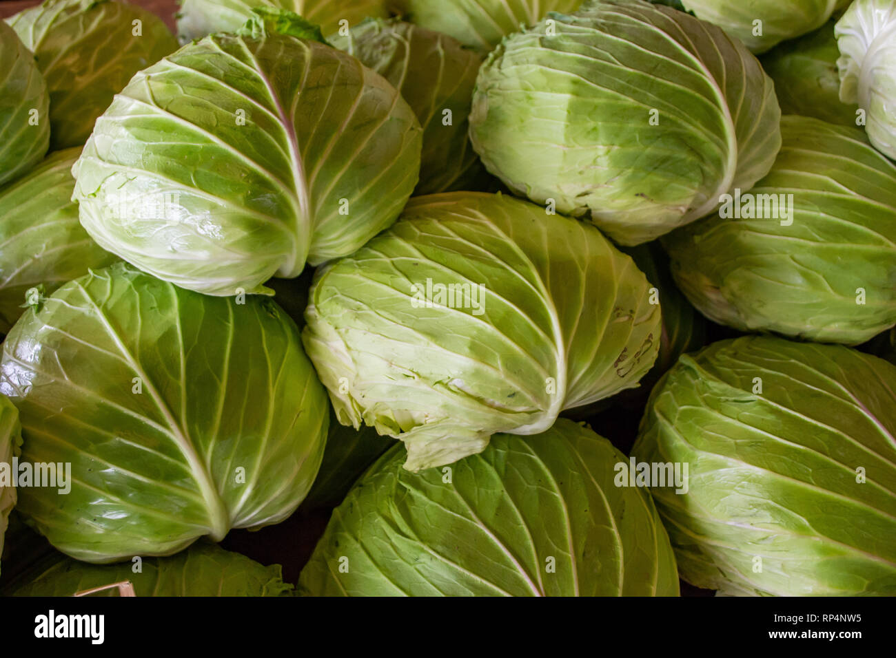 Grüne Kohl in Frische Markt Stockfoto