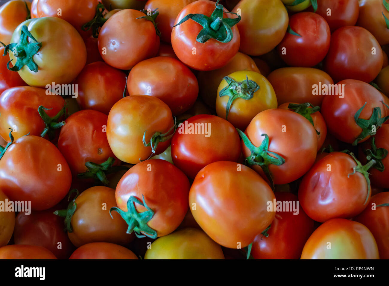 Tomaten in Frische Markt Stockfoto