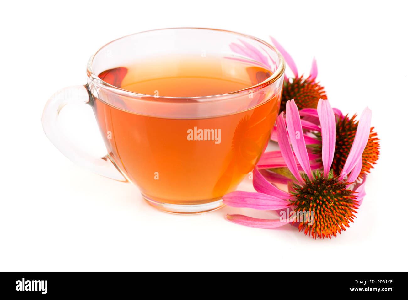 Echinacea Tee auf weißem Hintergrund. Arzneimittel Tee. Stockfoto