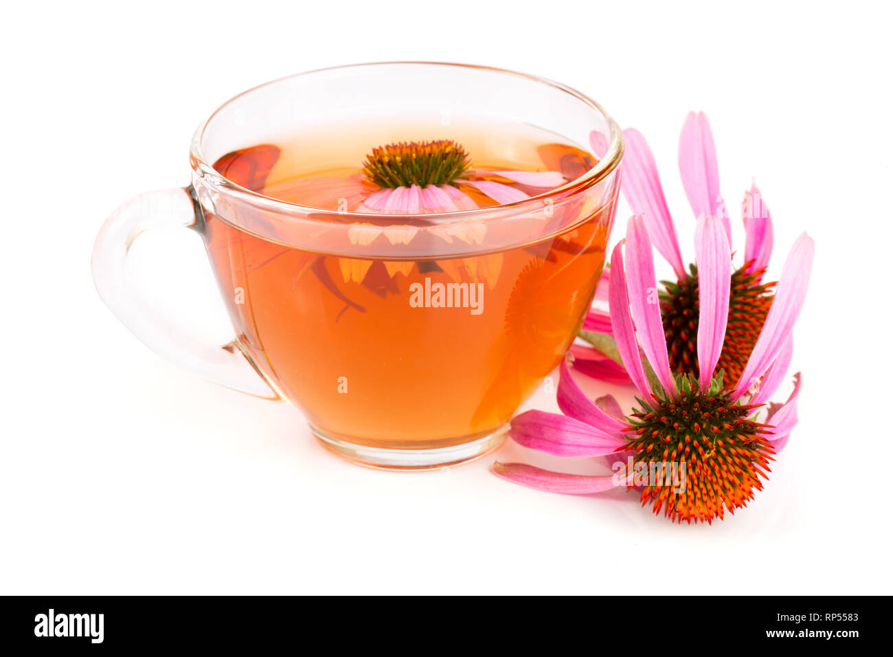 Echinacea Tee auf weißem Hintergrund. Arzneimittel Tee. Stockfoto