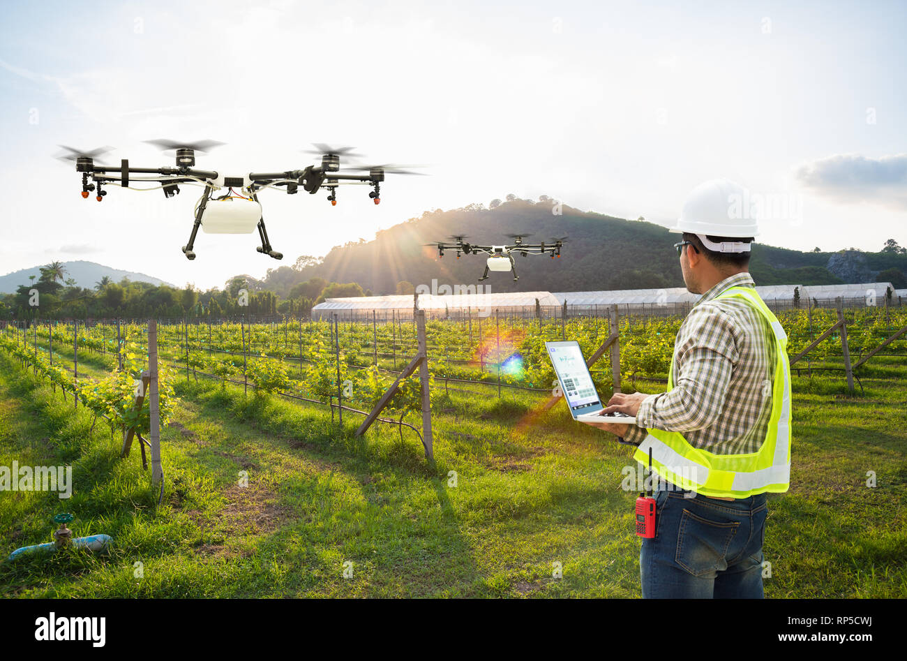 Techniker Landwirt für Wifi verwenden Computer steuern Landwirtschaft Drohne fliegen Dünger auf grape Feld gesprüht, Smart farm Konzept Stockfoto