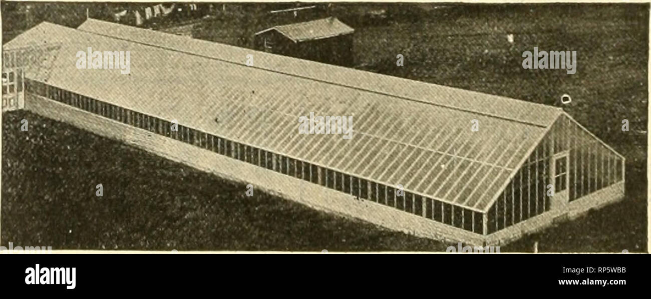 . Die amerikanische Florist: Eine wöchentliche Zeitschrift für den Handel. Blumenkultur ; Floristen. Sonnenlicht Double-Glass Schärpe Coiripzmy 929 E,&gt;..B" "j-. r LOUISVILLE, Ky. Die double layer von Glas ist es im Licht immer. Nie überzogen oder un-abgedeckt werden; keine Platten oder Matten notwendig. Behält die Hitze, schließt die Kälte. Macht stärker und früher Pflanzen. Glas rutscht im; keine Putty; nicht lösen; sich leicht reparieren. Fragen Sie nach Katalog A-I' teilt aD über Sonnenlicht Schärpe, "Besondere Katalog fo? Gewächshaus - Material. Für Informationen über das Gewächshaus oben gezeigt, für kreisförmige Senden. HITCHINGS&a Stockfoto