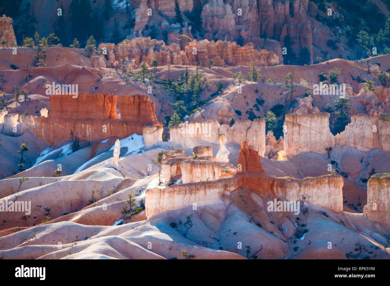 Hoodoos, die leuchtenden Türme des Bryce Canyon National Park in Utah Stockfoto