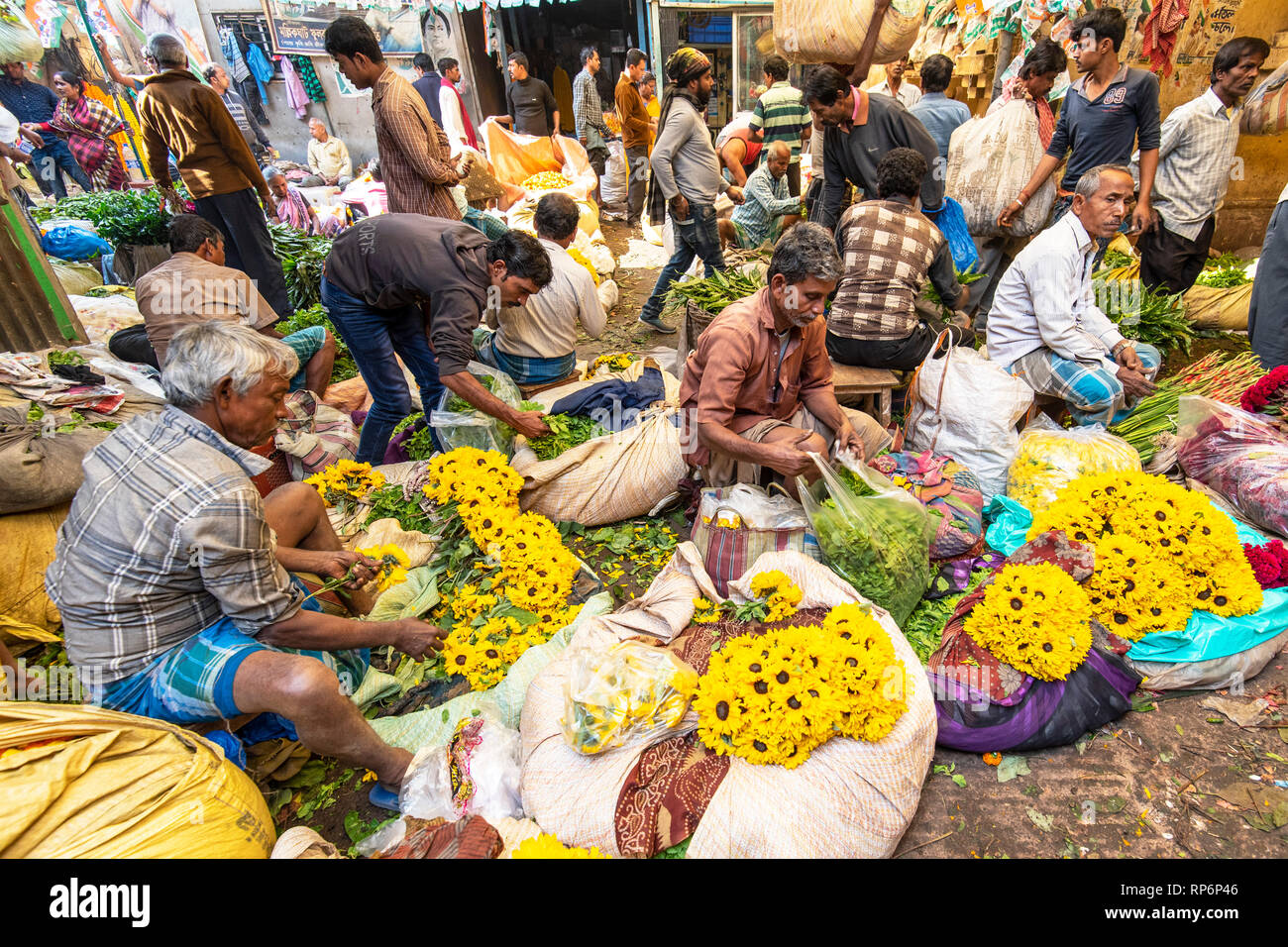Massen von Einheimischen Verkäufern und Käufern, die die Hektik der Mullick Ghat Blumenmarkt. Stockfoto