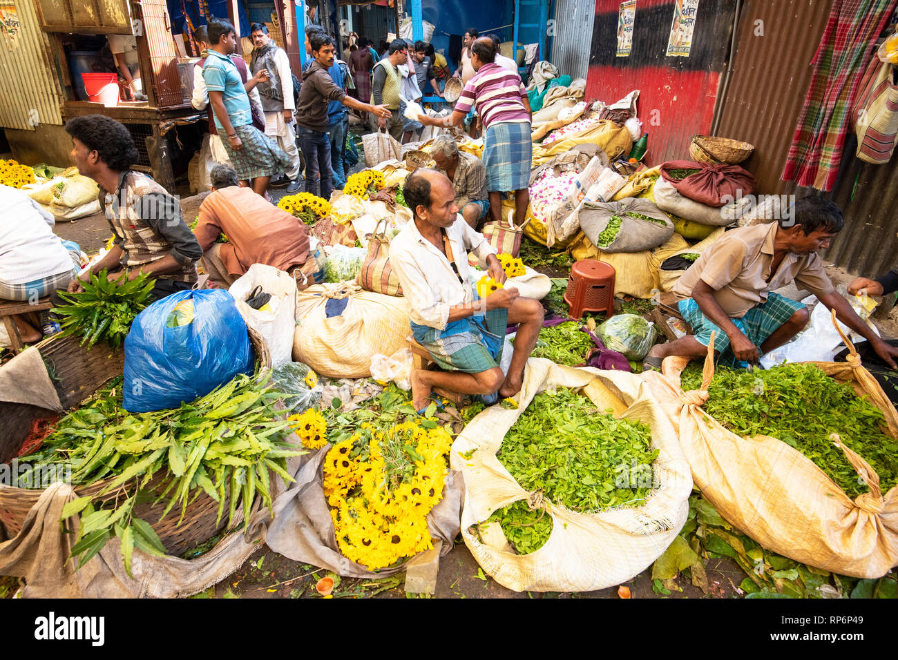 Massen von Einheimischen Verkäufern und Käufern, die die Hektik der Mullick Ghat Blumenmarkt. Stockfoto