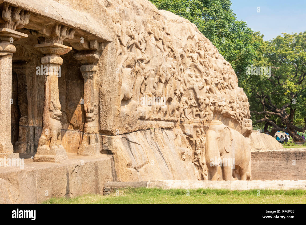 Abstieg des Ganges ist ein Denkmal an Mamallapuram. Messung von 29 m × 13 m, es ist eine riesige Open-Air-rock Relief auf zwei monolithischen Felsen Felsen geschnitzt. Stockfoto