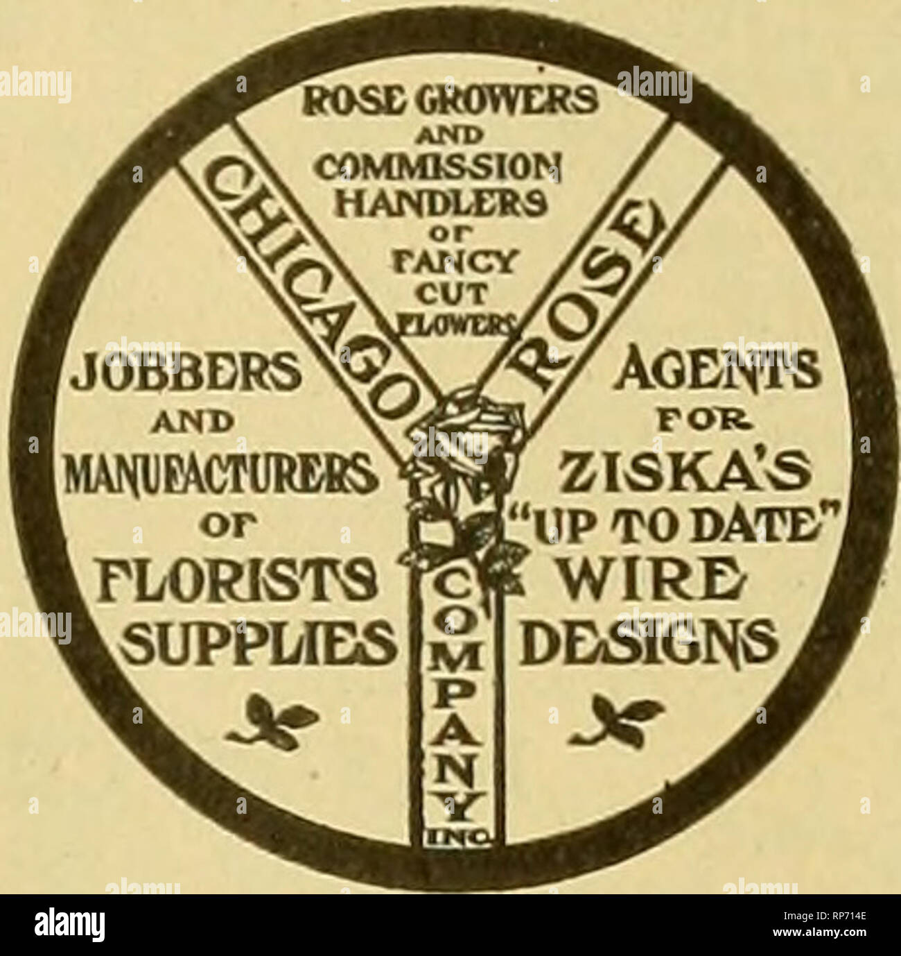 . Die amerikanische Florist: Eine wöchentliche Zeitschrift für den Handel. Blumenkultur ; Floristen. Tgo 6. Die amerikanische Florist. 523 SOpOOO LongiflorumS für Ostern $ 125,00 pro 1000. Weniger als JOO lose, $ 1500 pro 100. .:^^s"?, Rosen, Nelken, BAUCHIGEN LAGER, etc. Schreiben für unsere komplette Preisliste und spezielle Angebote. A. L RANDALL CO." S^;^^r*. Die Cleveland Cuf Blume Firma, WHOLESILE SCHNITTBLUMEN. Verbrauchsmaterial Floristen. Kabel DESIGNS. Agenten für die Ewigen GEWÄCHSHAUS FLIESE BANK. 52 und 54 High Street, Cleveland, Ohio. Ein paar gute Dinge, die Sie möchten. Dracaena Indlvlsa, 4- und 5-Zoll. 10,00 $ und 25,00 $ pro Stockfoto