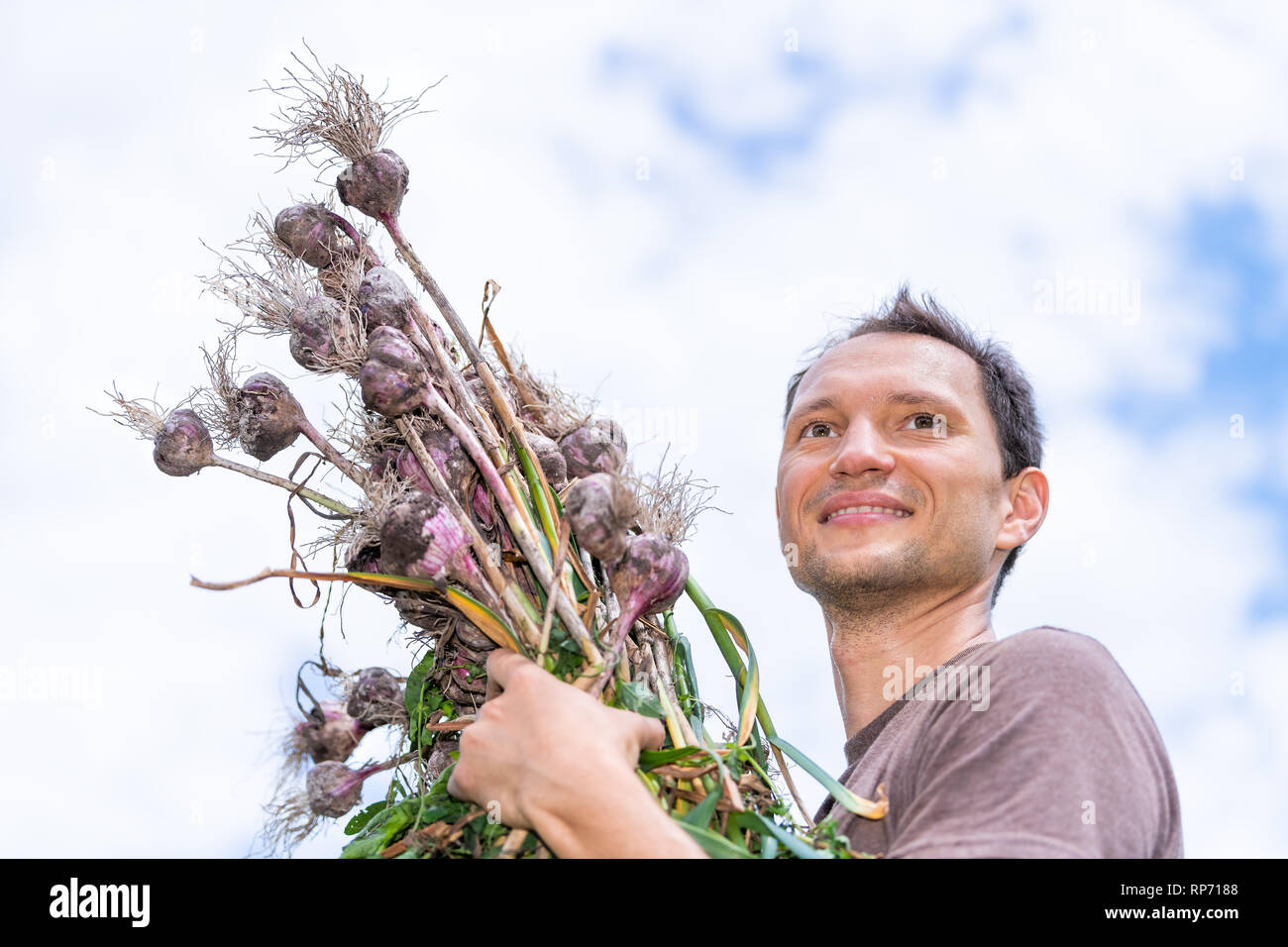 Junge Gerne Schwitzen Mann Arbeiter Face Closeup Ernten Knoblauch