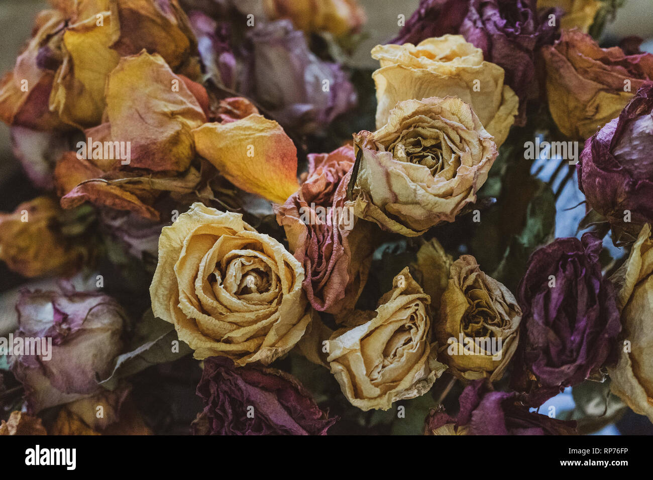 Getrocknete Blumenstrauß aus Rosen Stockfoto