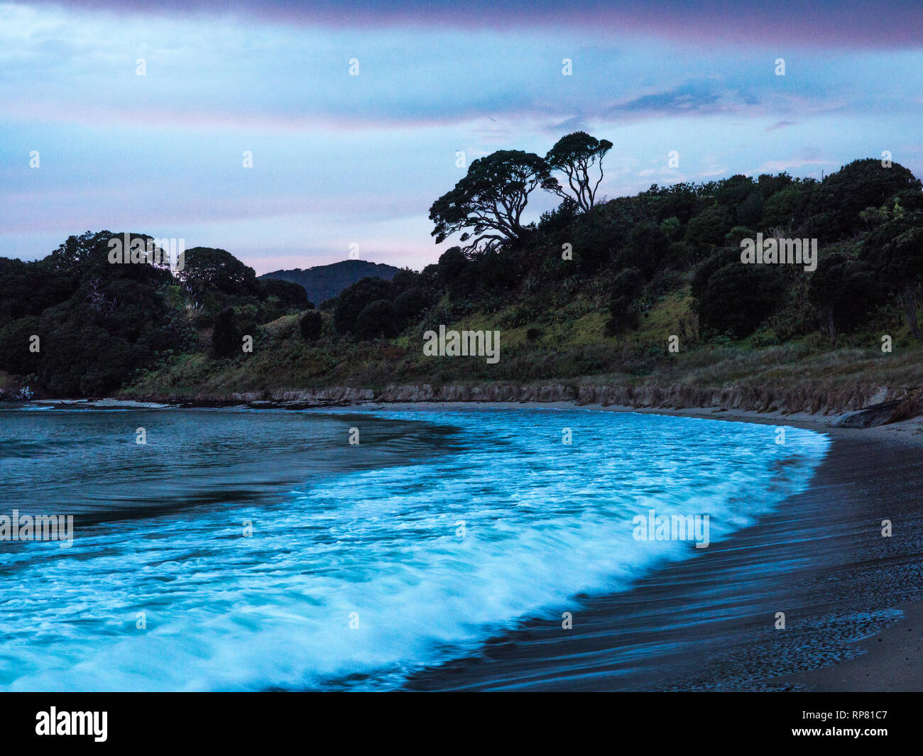 Gebogene geschwungene Welle brechen auf der Pacific Ocean Beach, Matai Bay, Northland, Neuseeland Stockfoto