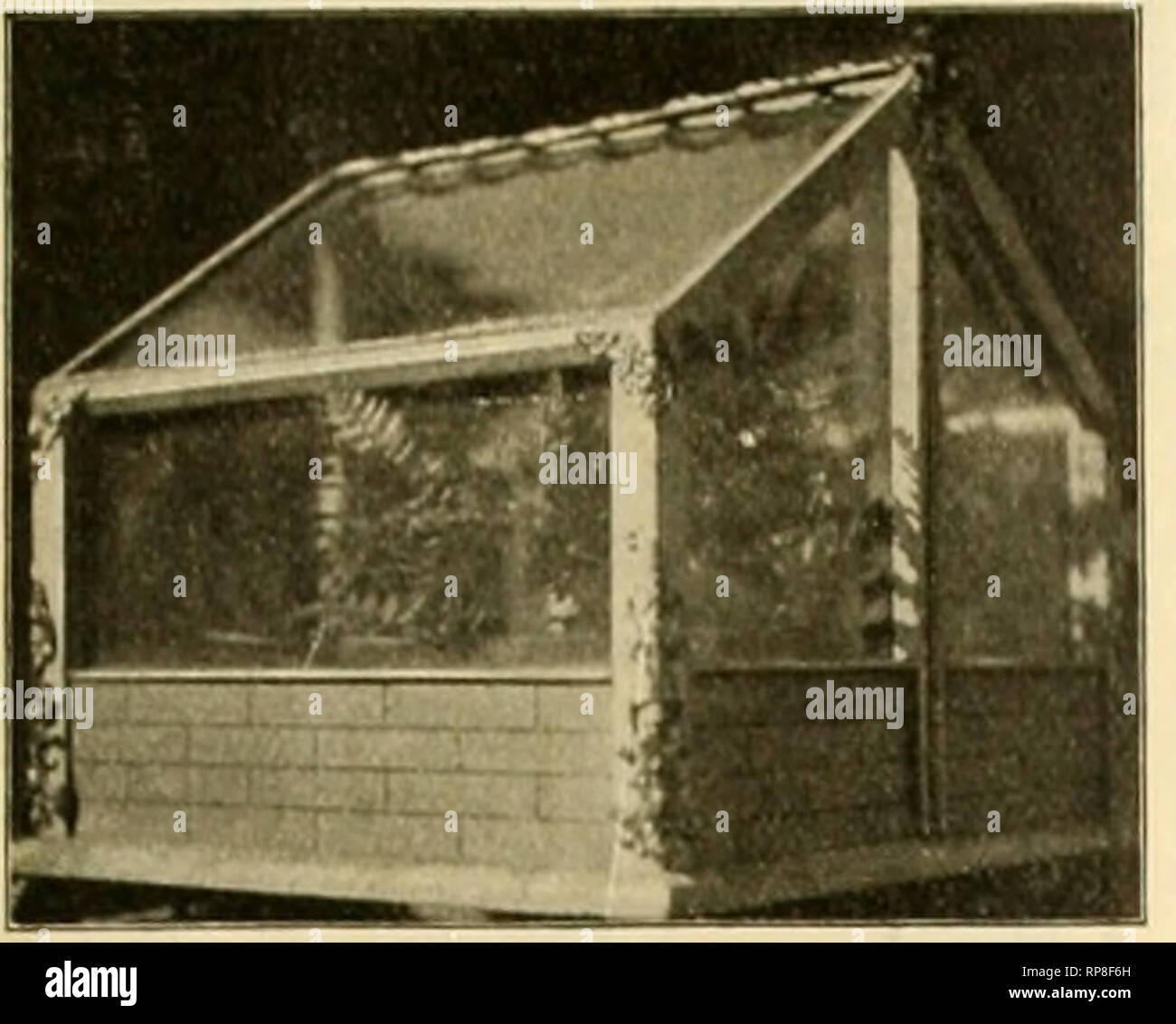 Die Amerikanische Florist Eine Wochentliche Zeitschrift Fur Den