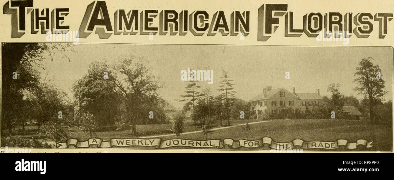 . Die amerikanische Florist: Eine wöchentliche Zeitschrift für den Handel. Blumenkultur ; Floristen. Rmerina ist • • • • ths Praw des UessbI; es kann Mars komfort Rmidships werden. Aber wir sind ihg Rrst unbekannte Meere zu berühren.' Vol. XXVI. ITfliiE/ALMERicMis L^ iLmejsf TWBNTT - PIBST YBAB. Copyright 1906, von amerikanischen Florist Unternehmen. Wie Second-Class Mail abgeschlossen. Veröffentlicht evebt Satttrdat bt AMERICAN FLORIST UNTERNEHMEN, 324 48th St., Chicago. Castem Büro: 429 Sixth Ave. New York. Abonnement, 11.00 ein Jahr. Nach Europa, 12.00 Uhr. Abonnements akzeptiert nur aus dem Handel. Volumes halbjährlich ab August. 1901. Gesellschaft Stockfoto