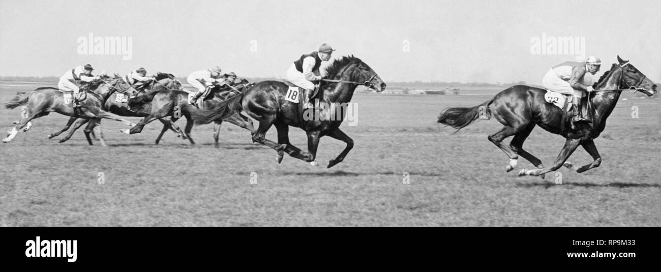 Pferderennen in England, 1954 Stockfoto