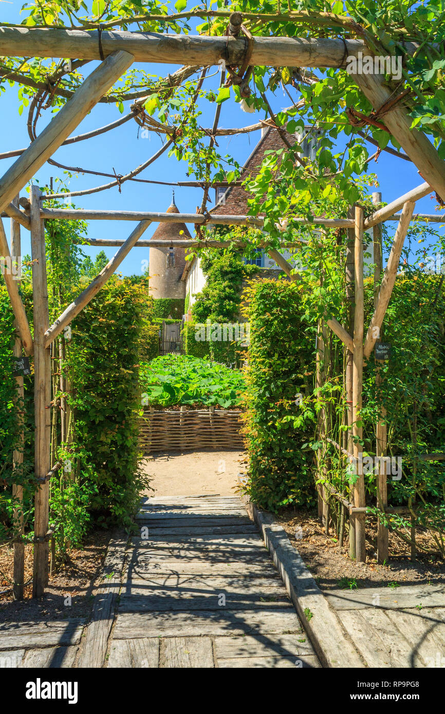 Orsan Garten, Frankreich: Marie's Gärten mit Kletterrosen auf die Strukturen der süße Kastanien und Passage auf dem Weg zur erhöhten abgedeckt Stockfoto