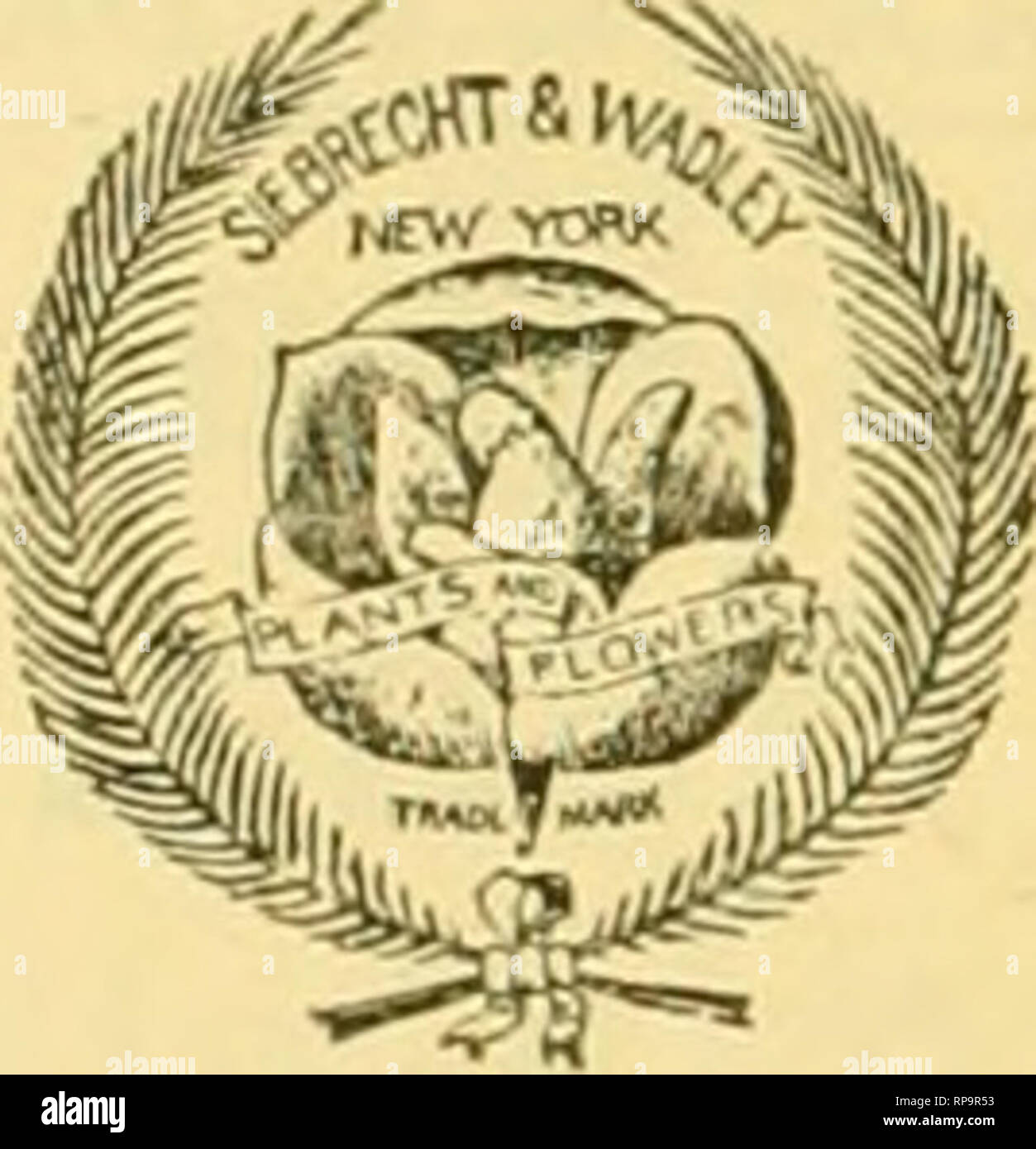 . Die amerikanische Florist: Eine wöchentliche Zeitschrift für den Handel. Blumenkultur ; Floristen. Ich 206 Die amerikanische Florist. /Unc 22, Portsmouth, N.H. der Nachlass von Herrn Frank Jones hat im-stark erwies sich in den vergangenen 18 Monaten unter der Obhut von Herrn Robt. Pat-Ersonen. Die Verbesserung ist besonders auffällig in der Handfläche und Herd Häuser. Das große Palmenhaus ist hundert und 6 l'ty Fuß lang, 25 Fuß breit und 27 Fuß hoch. Und es sind einige der schönsten Exemplare in der countrj'. Die Pflanzen wurden in einem soliden Bett vor etwa drei Jahren, und in dieser Zeit gebildet haben eine fast i Stockfoto