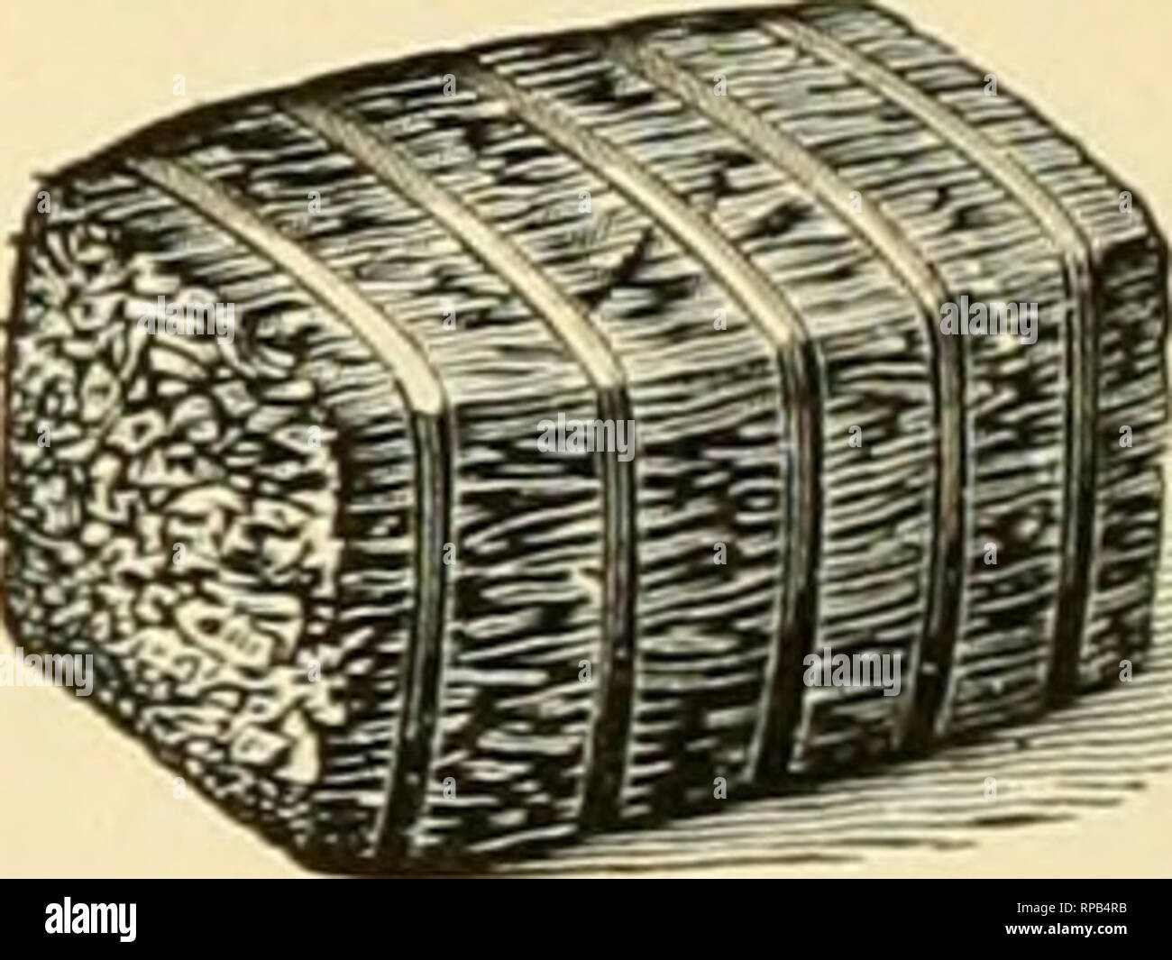 . Die amerikanische Florist: Eine wöchentliche Zeitschrift für den Handel. Blumenkultur ; Floristen. Beim Schreiben FÜR SCHÄTZUNGEN, BITTE GEBEN SIE FOLGENDE MASSE: Ist. Geben Sie die Anzahl der Flügel aufgehoben werden. 2Dd. Die Länge und Tiefe der sasbes geben, (. Tiefe ist die Wurzel.) 3. Geben Sie dem lenytb des Hauses. 4. Die Höhe vom Boden bis zum Kamm von Root geben. 5. Die Dicke und Breite der Dachsparren oder Schärpe Bar geben. Tabak Stiele für Floristen. Für Verkauf, verpackt in Ballen 200 bis 250 sein. Keine Cha RG e für Lieferung ering zu Depots. "10 00 pro Tonne. 1,50 $ pro Single bate. s. C., 716 Arcli FULWEILER Street, PHILADKLPHIA Stockfoto
