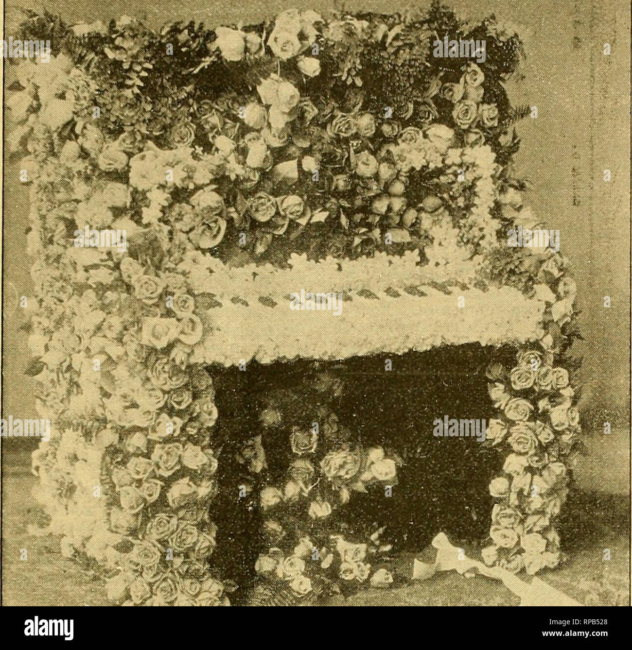 . Die amerikanische Florist: Eine wöchentliche Zeitschrift für den Handel. Blumenkultur ; Floristen. iSSS. Die amerikanische Florist. 275. ^^; LOUKL PK 0, Vantage von unten Wärme, eine sehr notwendige Sache im Winter blühende eines solch großen Rose als Kiel. Ich habe sehr gute Erfolge, und um erfolgreich zu sein, den nachfol-genden Bedingungen sind notwendig: gute, starke, die weinblüte oder Pflanzen im Frühjahr eingepflanzt, ich bevorzugen, arbeitete an W. Banksia. Box oder Topf in rauen turfy Lehm, mit ein wenig Dünger und Sand (sie werden nicht Objekt einer wenig Knochen Staub). Man sie gut ab, in einer guten luftigen Ort im Gewächshaus. Spritze oft, Stockfoto
