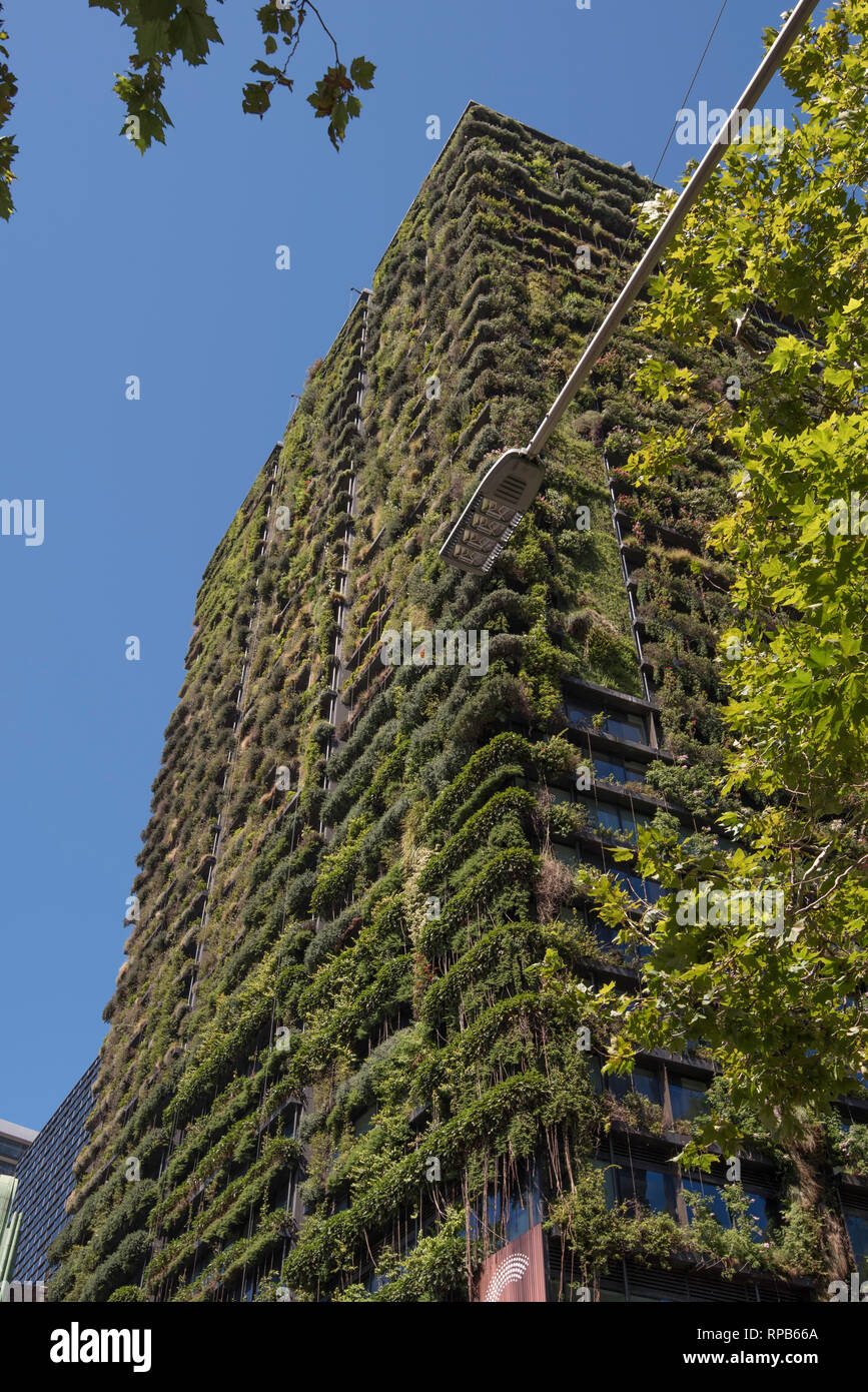 Eine Central Park, die Jean Nouvel entworfen Appartementhaus in Sydney, Australien in Australischen einheimischen Pflanzen, die vom Boden aus verlängern abgedeckt Stockfoto