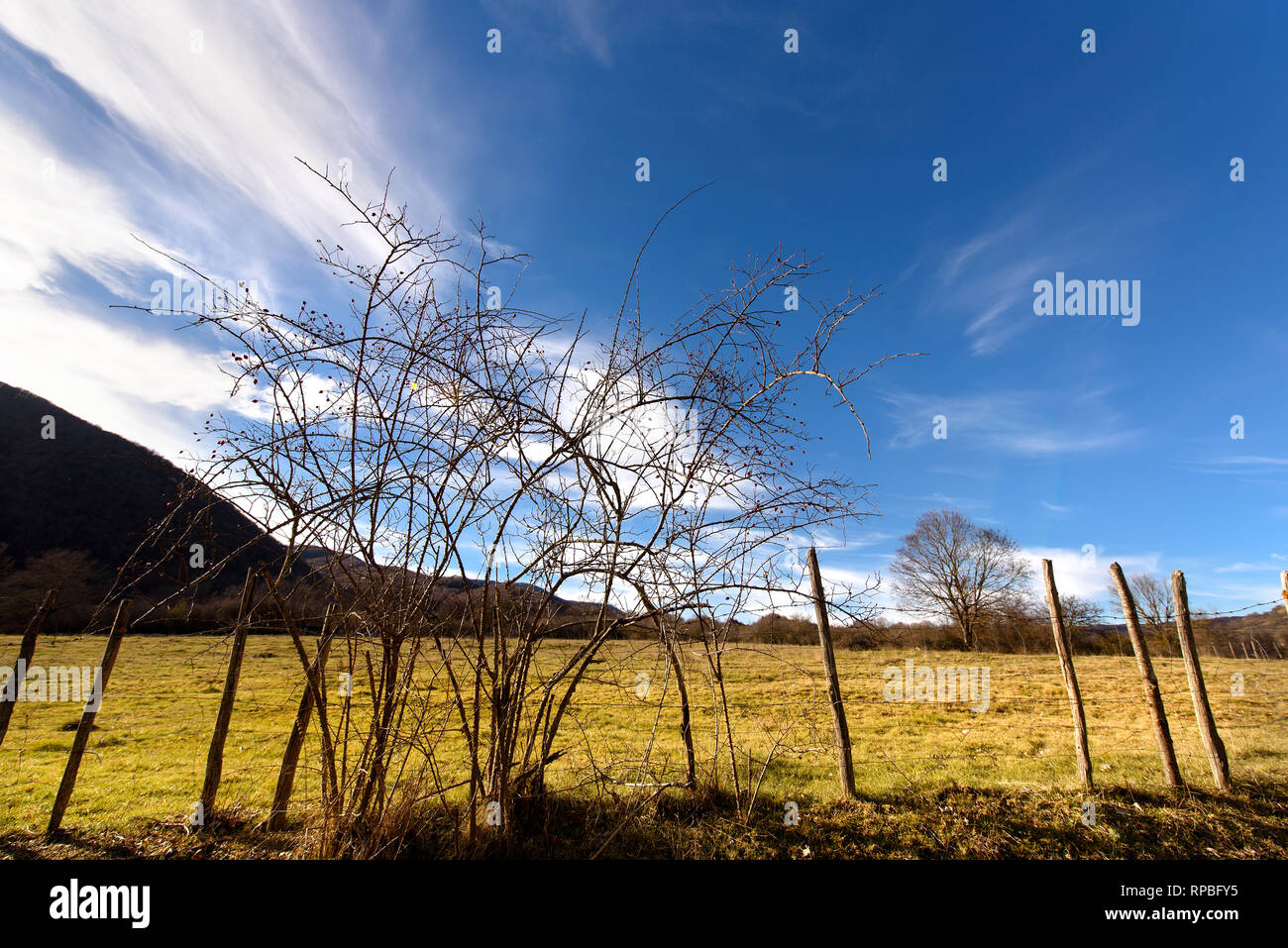 Stacheldraht zaun in der Landschaft Stockfoto