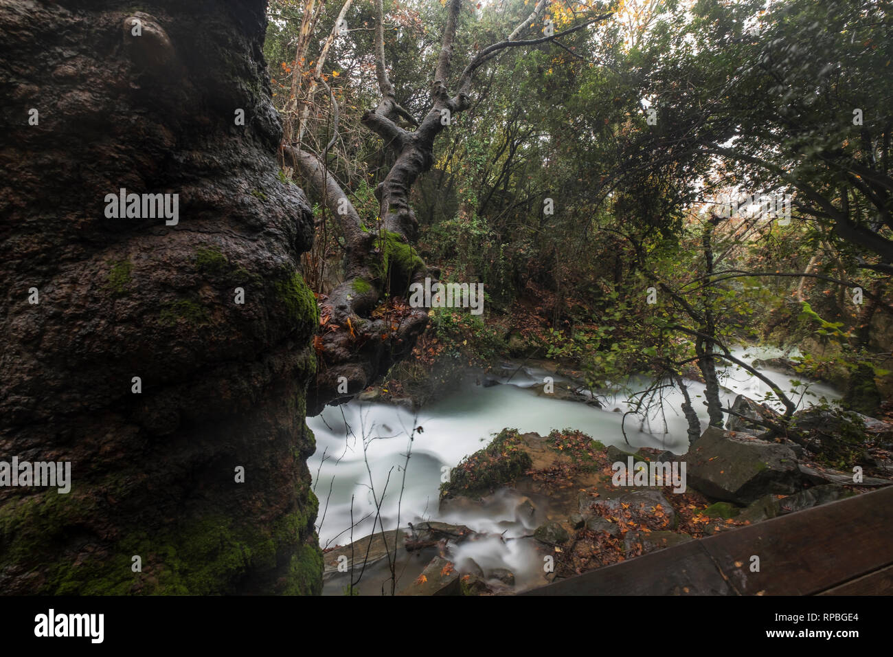 Hermon River Nature Reserve, Israel Stockfoto