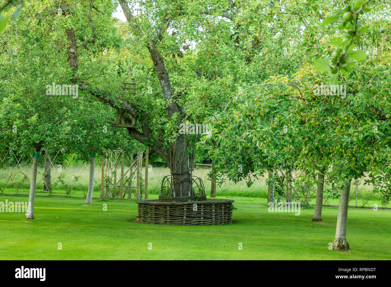 Baumbank rund garten Fotos und Bildmaterial in hoher Auflösung Alamy