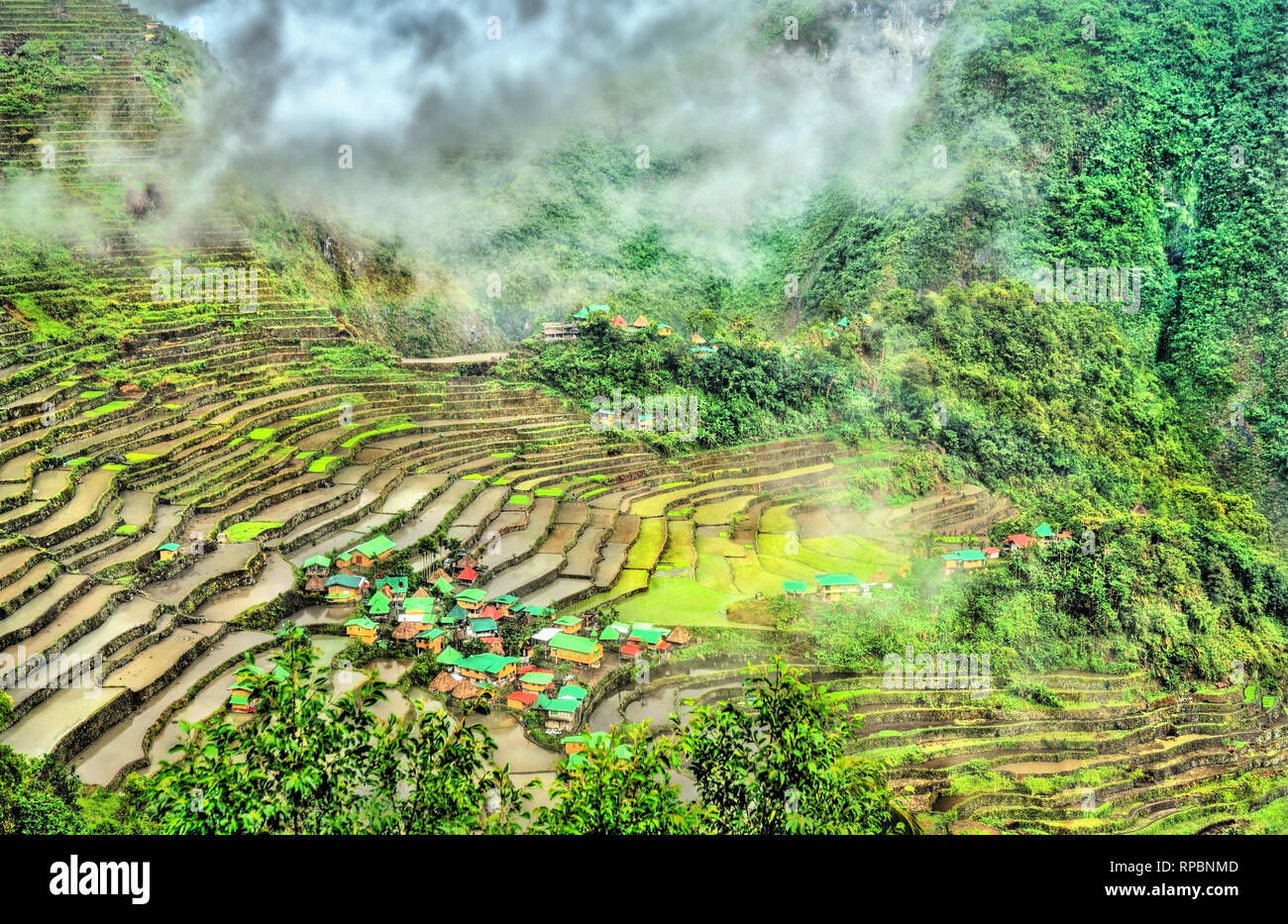 Batad Reisterrassen, UNESCO-Welterbe in den Philippinen Stockfoto