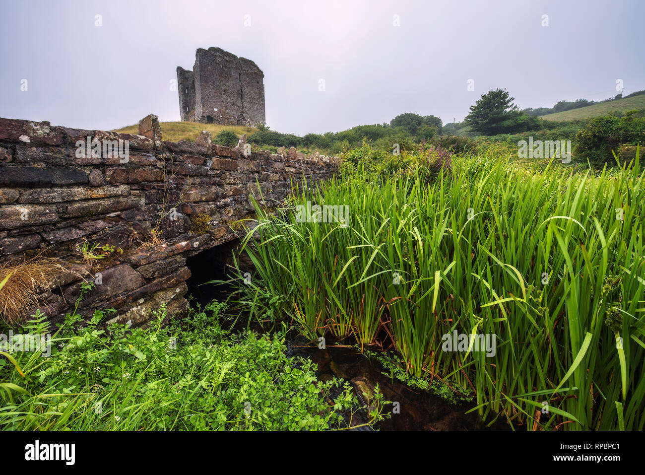Minard Castle und historische Steinbrücke in Irland Stockfoto