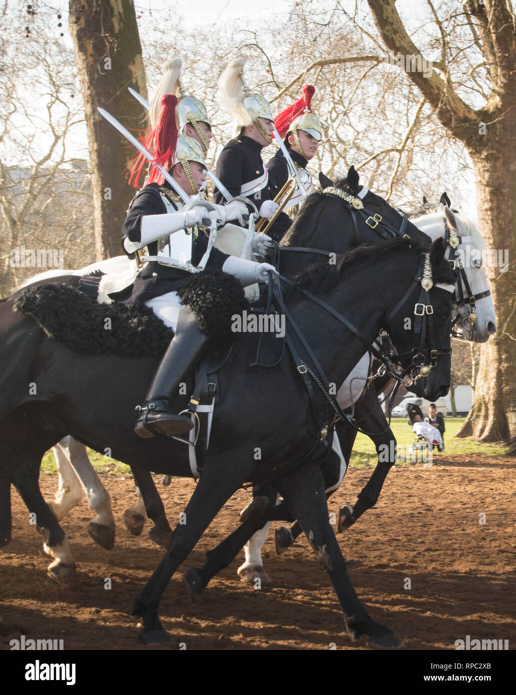 Die Household Cavalry im Hyde Park London Stockfoto