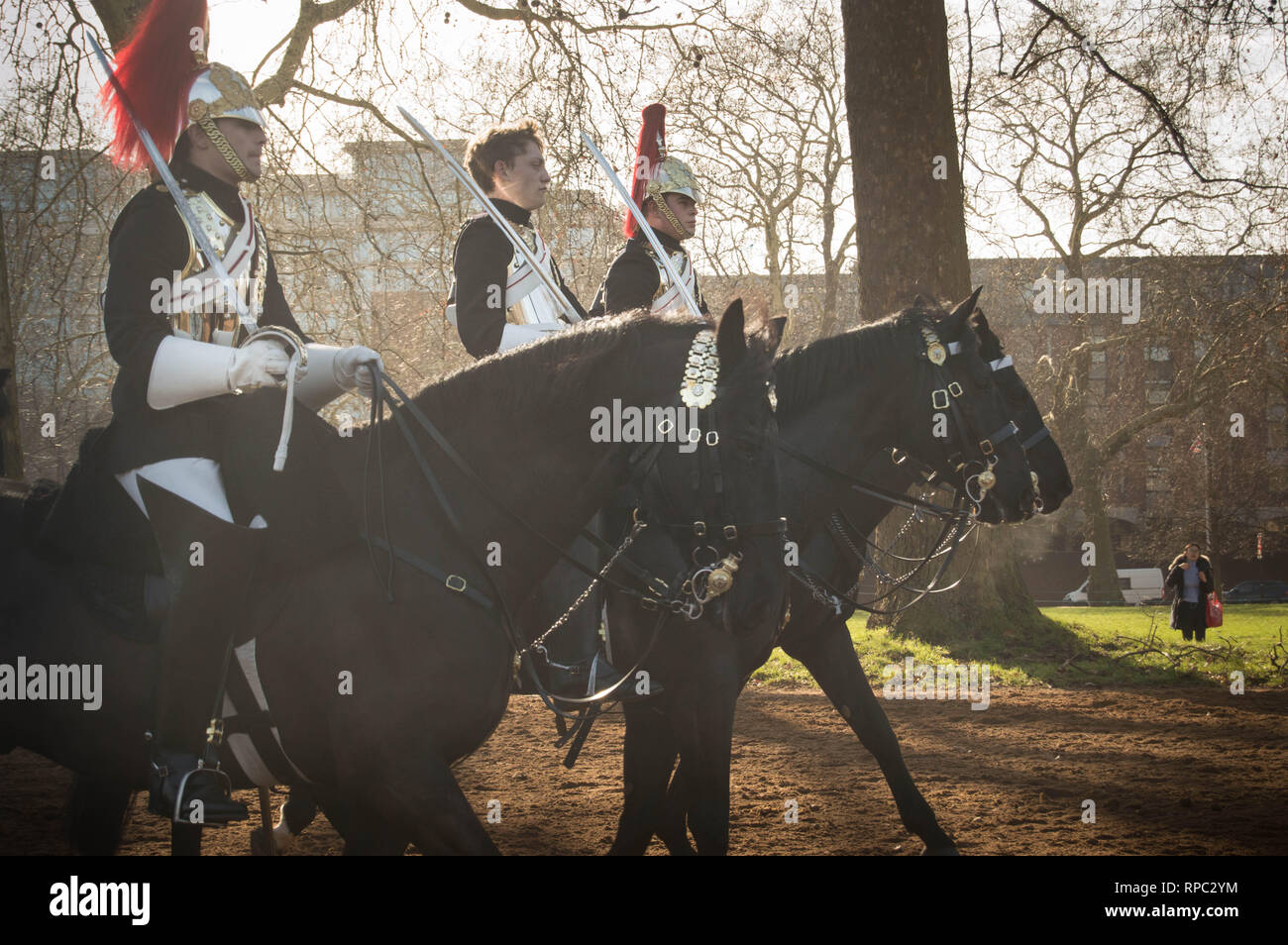 Die Household Cavalry im Hyde Park London Stockfoto