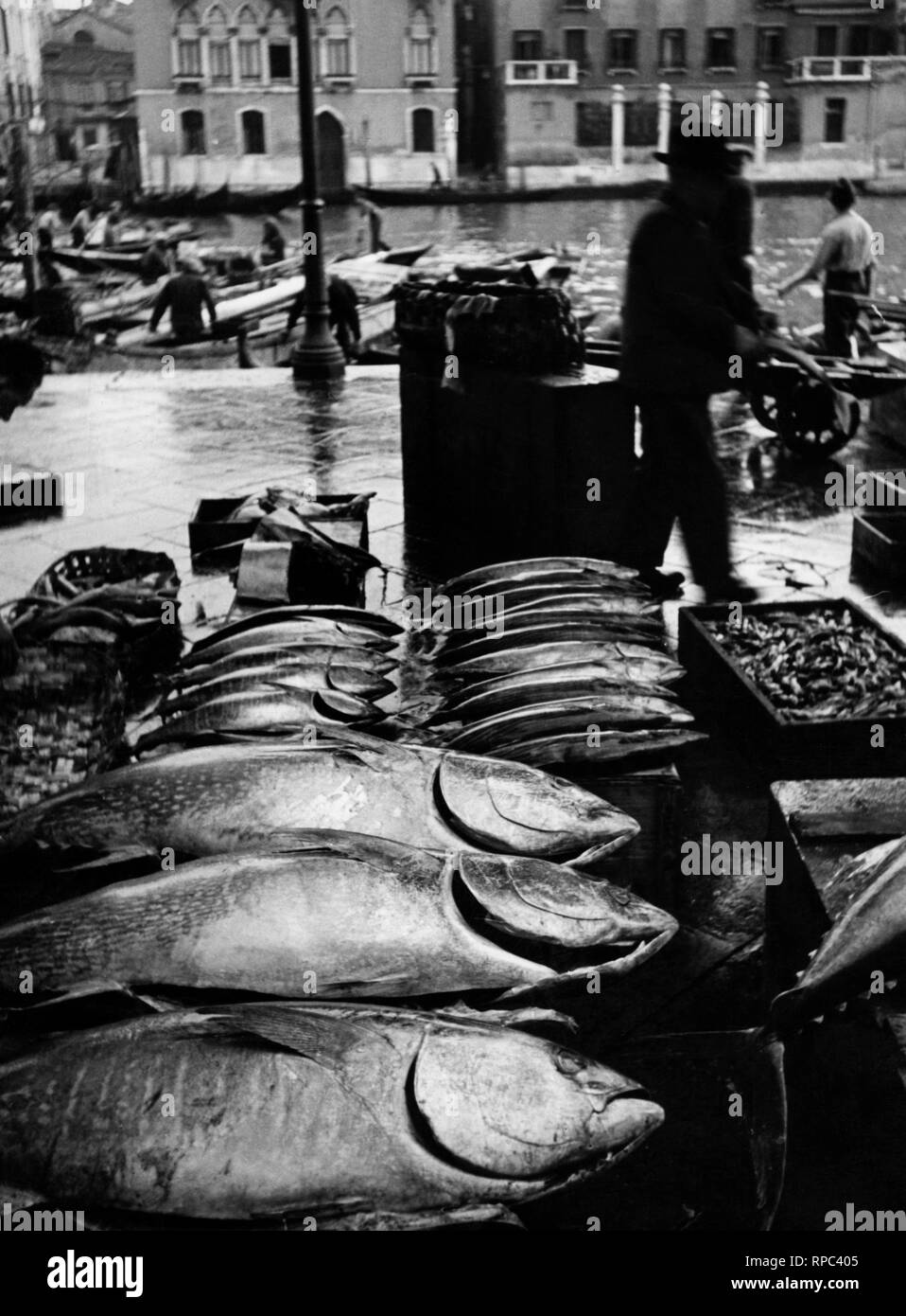 Fischmarkt, Venedig, Venetien, Italien 1920 1930 Stockfoto