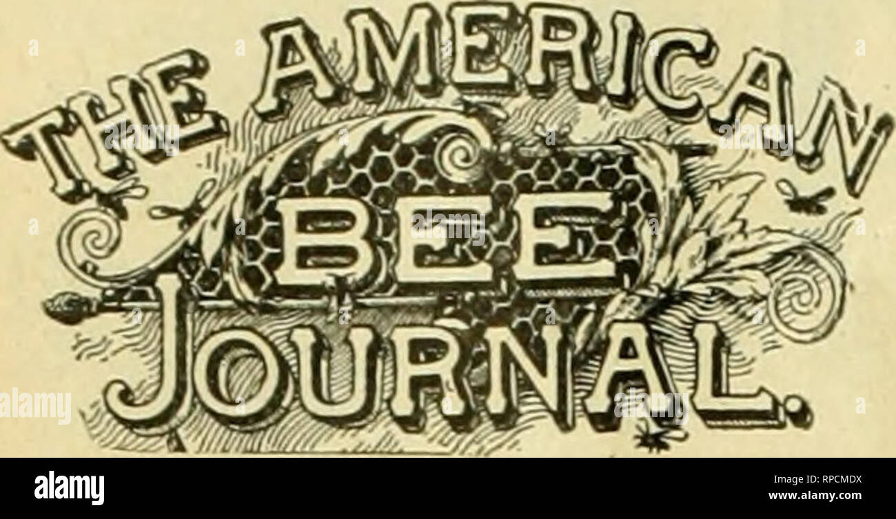 . American bee Journal. Biene Kultur; Bienen. 610 AMERICAN BEE [OURNAL Sept. 1900.. PUBLISHT WÖCHENTLICH DURCH GEORGE W. York &Amp; Co.116 Michigan St., GhicdQO, III. [Eingetragen am Post-Office an chicag-o als zweiter Klasse Mail-Matiey. J WICHTIGE HINWEISE: Der Bezugspreis der Zeitschrift ist $ 1,00 pro Jahr, in den Vereinigten Schiefertafeln, Kanada, und Mex-ico; alle anderen Länder in der Postgewerkschaft, 50 c ein Jahr extra für postag-e. Probeheft kostenlos. Die wrapper-label Datum dieses Papier zeigt das Ende des Monats, auf den sich ihre subscrip- gezahlt wird. Zum Beispiel, '* DecOO" auf Ihrem Etikett zeigt, dass es i Stockfoto